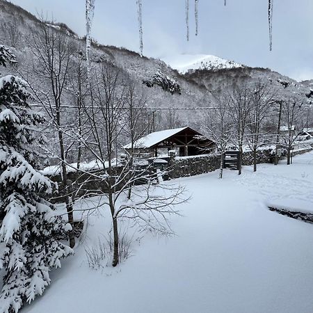 Vikendice Biocinovici Villa Kolašin Екстериор снимка