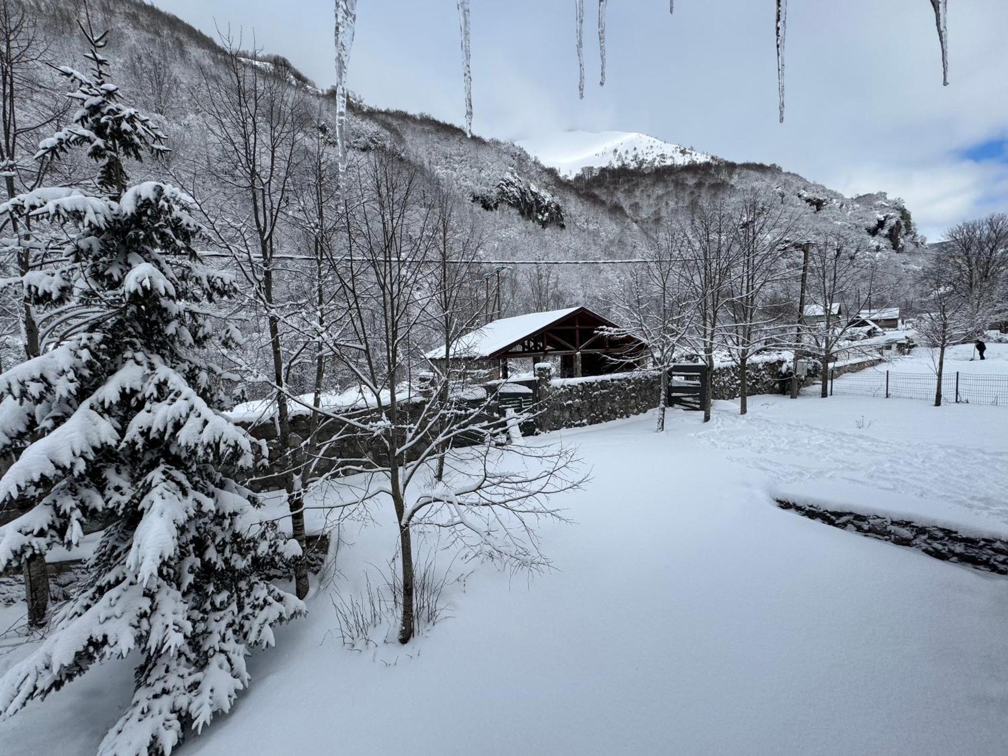 Vikendice Biocinovici Villa Kolašin Екстериор снимка